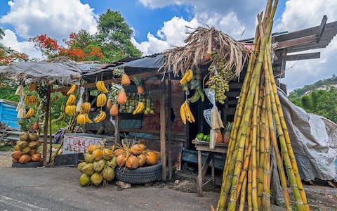 Fruit Stand in Bog Walk - Credit: Shutterstock