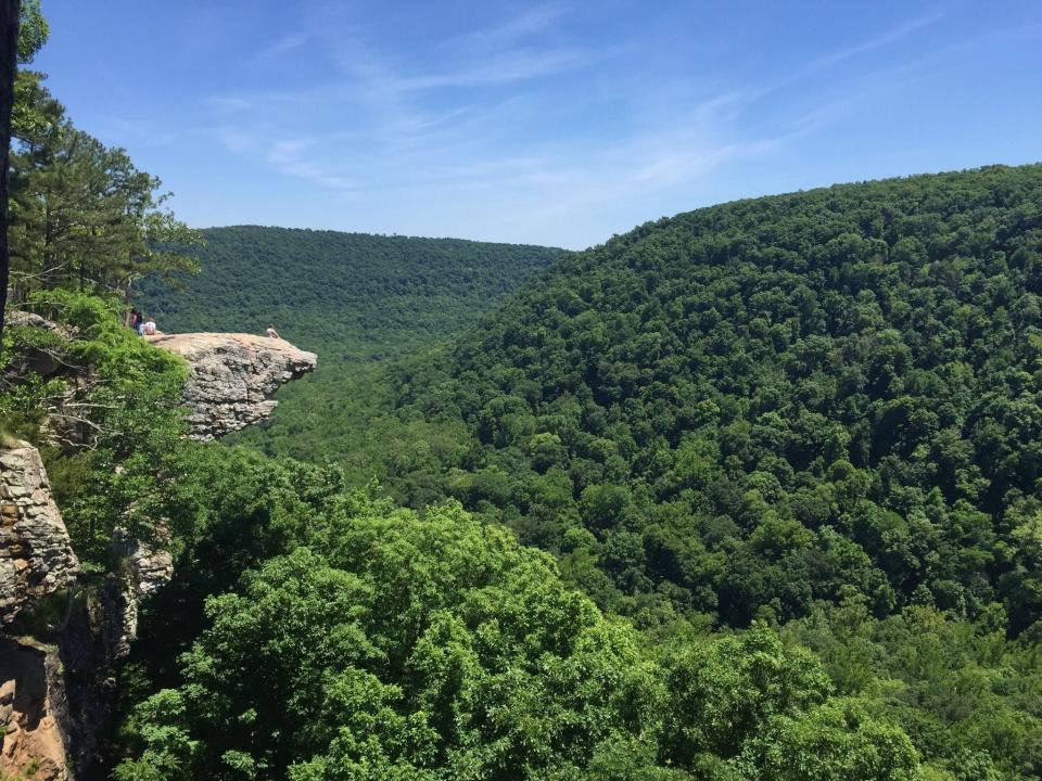 whitaker point trail