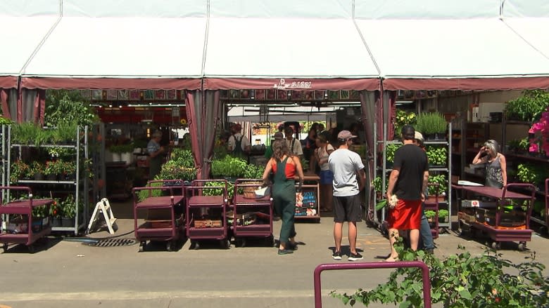 Conflict over parking spots at Jean-Talon Market gets political