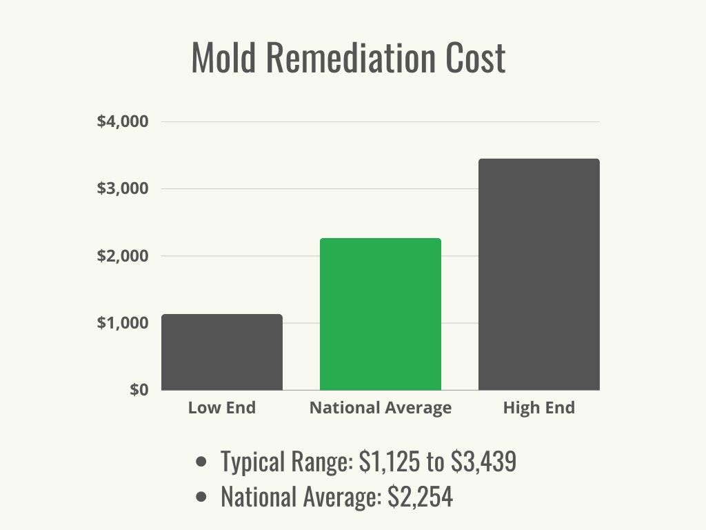 Mold Remediation Cost Range + Average - 1