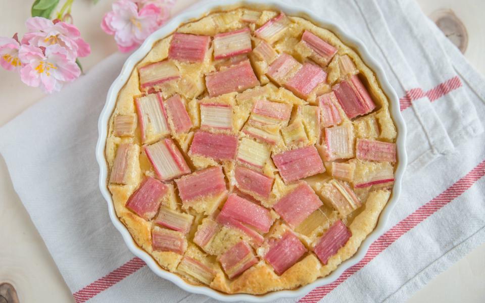 Rhabarber verbinden die meisten wohl mit Rhabarberkuchen. Ob mit Quark, Pudding oder Streuseln, es gibt unzählige Möglichkeiten, diesen zuzubereiten. Im Zweifelsfall fragen Sie einfach Ihre Mutter, Schwiegermutter oder Großmutter. Die helfen Ihnen bestimmt gerne mit einem Rezept aus. (Bild: iStock / A_Lein)