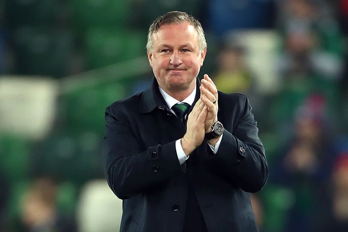 Michael O’Neill has agreed to return as Northern Ireland manager (Liam McBurney/PA) (PA Wire)