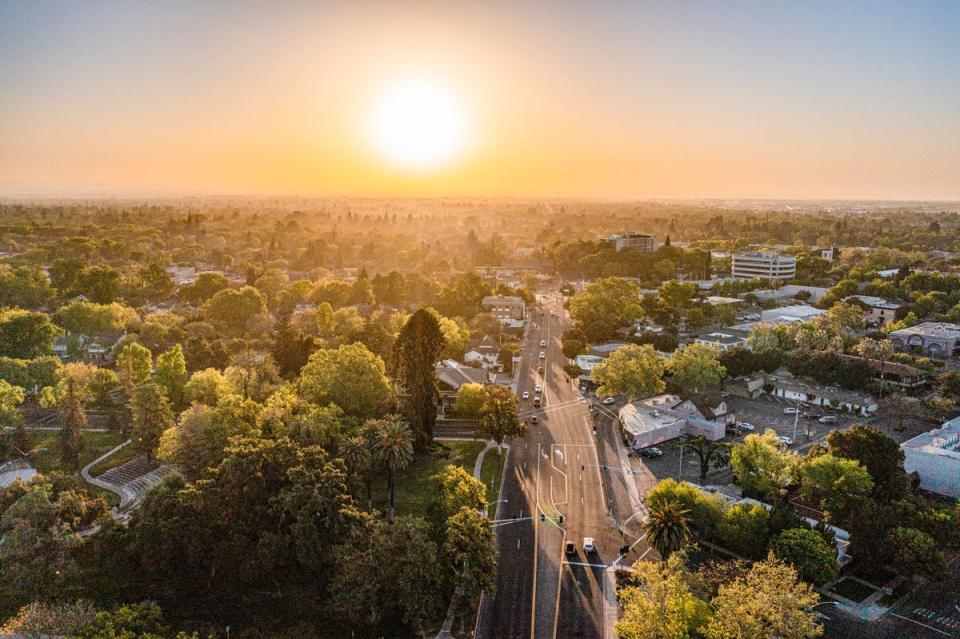 Modesto: the city of trees (Getty Images/iStockphoto)