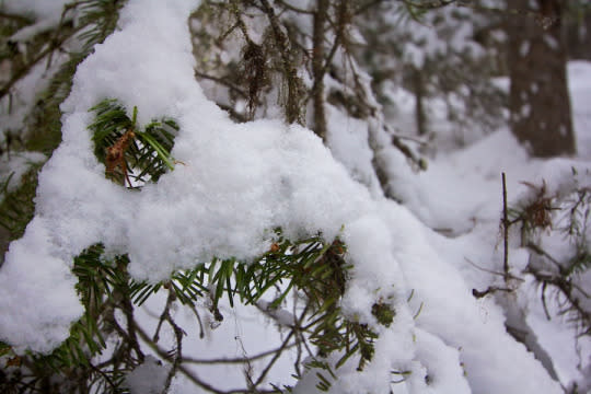 See Snow Differently in Lake Louise, Canada