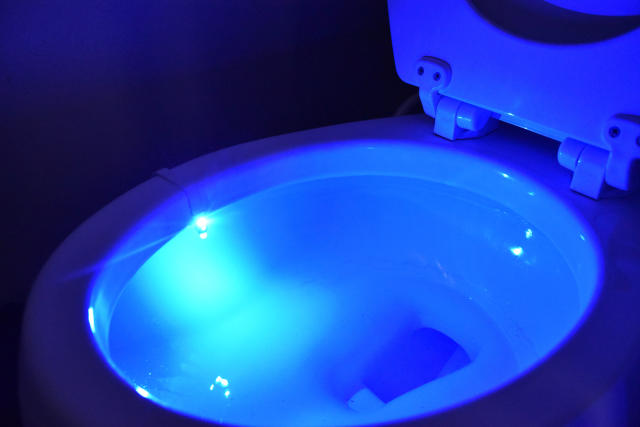 Toilet Bowl Lights in Night Lights 