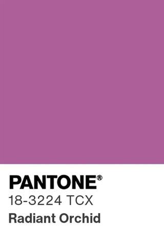 <p>Pantone</p> Pantone Color of the Year