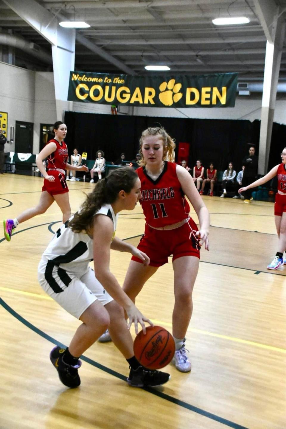 Litchfield senior Jenna Miller defends against WCA eighth grader Kherington Ladd. Miller scored 16 points in the Terrier victory.