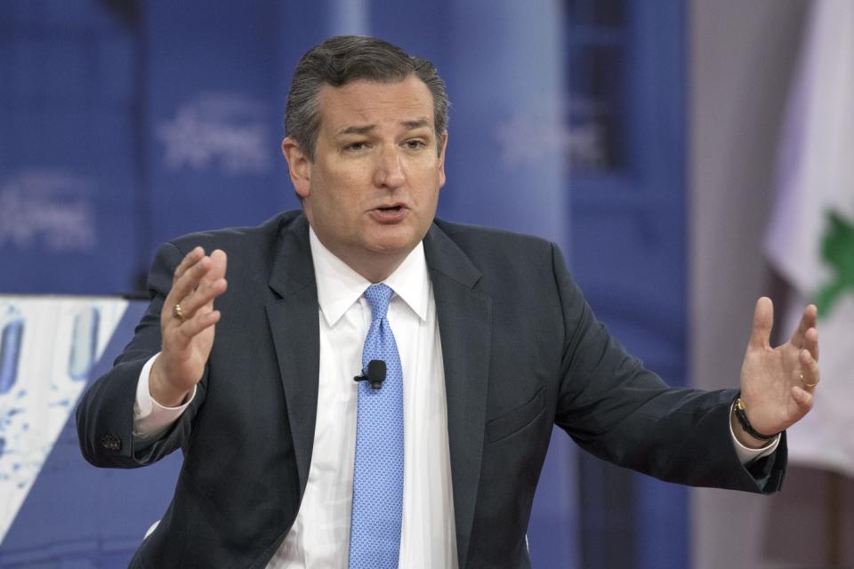 Ted Cruz – Fehlt ihm der Ein- und Durchblick?! (Bild: AP Photo)