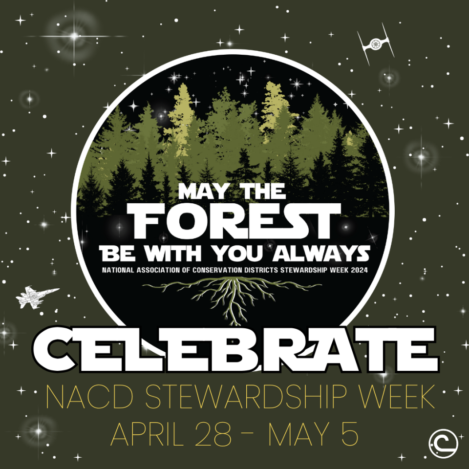 The 2024 Stewardship Week observance is April 28 – May 5. This year’s theme is “May the Forest Be with You, Always.”