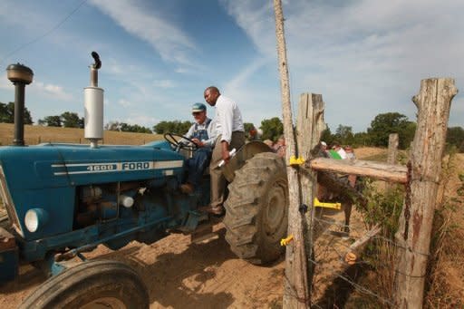 A farmer talks with an official from the US Department of Agriculture while veiwing drought damage to his farm, near Goreville, Illinois. The drought in America's breadbasket is intensifying at an unprecedented rate, experts warned, driving concern food prices could soar if crops in the world's key producer are decimated