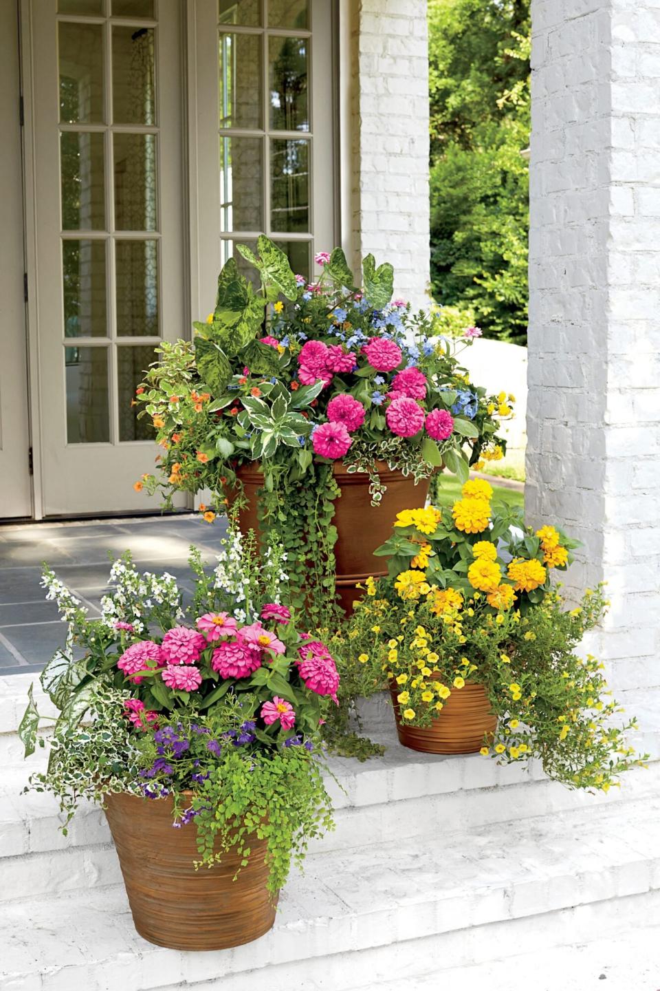 Classic Zinnia Freestanding Container Garden