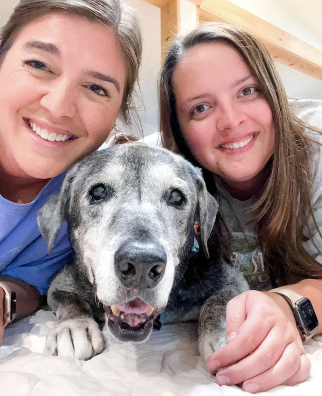 Lauren Siler on Instagram: 🚨 HURRY!!!! You want this calendar featuring  Annie x Texas Rangers ⚾ The @rangers printed a calendar with  @thepawerfulrescue dogs and our girl is Ms. October 2024 They