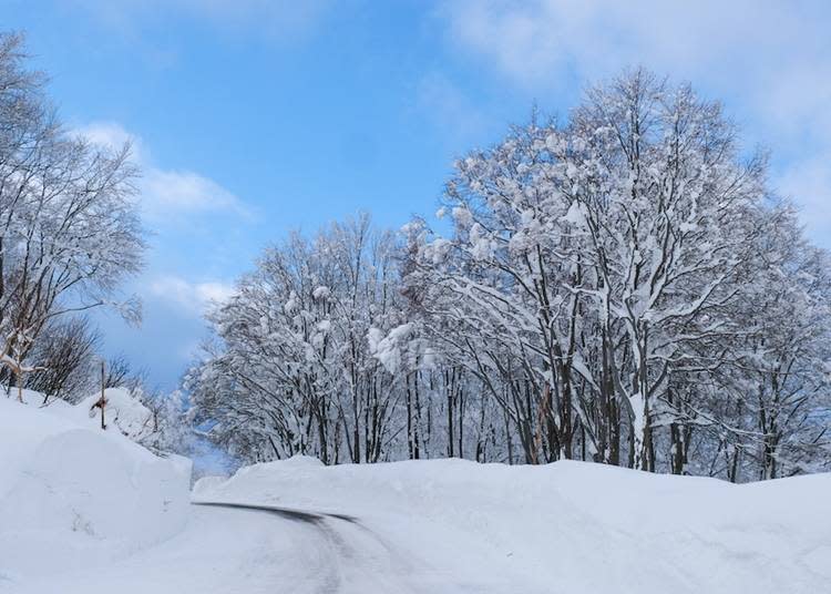 前往酸湯溫泉的雪道