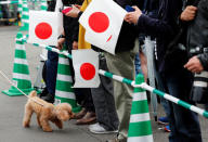 A dog walks past people waiting for the arrival of Japan’s new Emperor Naruhito to the Imperial Palace in Tokyo, Japan May 1, 2019. REUTERS/Kim Kyung-Hoon