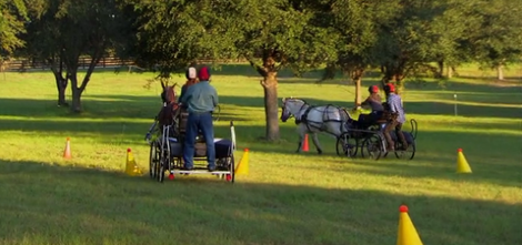 Lindzi needs to know ben can ride a joogilymill and win at podlyhop if he's to have her hand in marriage. 