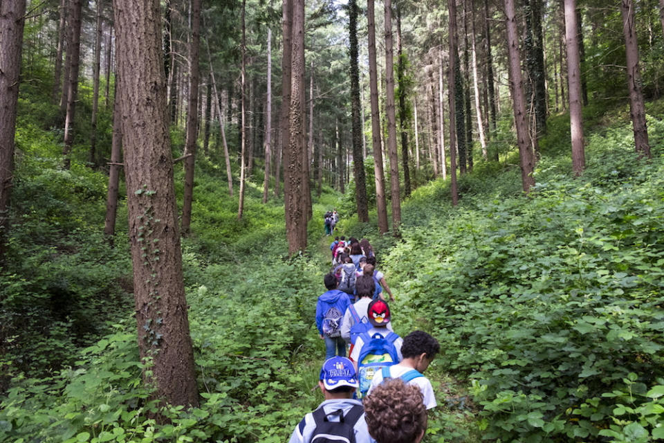 Nell’astuccio non potranno mancare i pastelli di legno GIOTTO di Natura, realizzati con cedro della California, proveniente da foreste gestite secondo lo standard SFI (riconosciuto PEFC), una risorsa rinnovabile e riconoscibile per le caratteristiche venature naturali. Da utilizzare su fogli e quaderni che utilizzano fibre provenienti da foreste certificate PEFC per la produzione di carta.