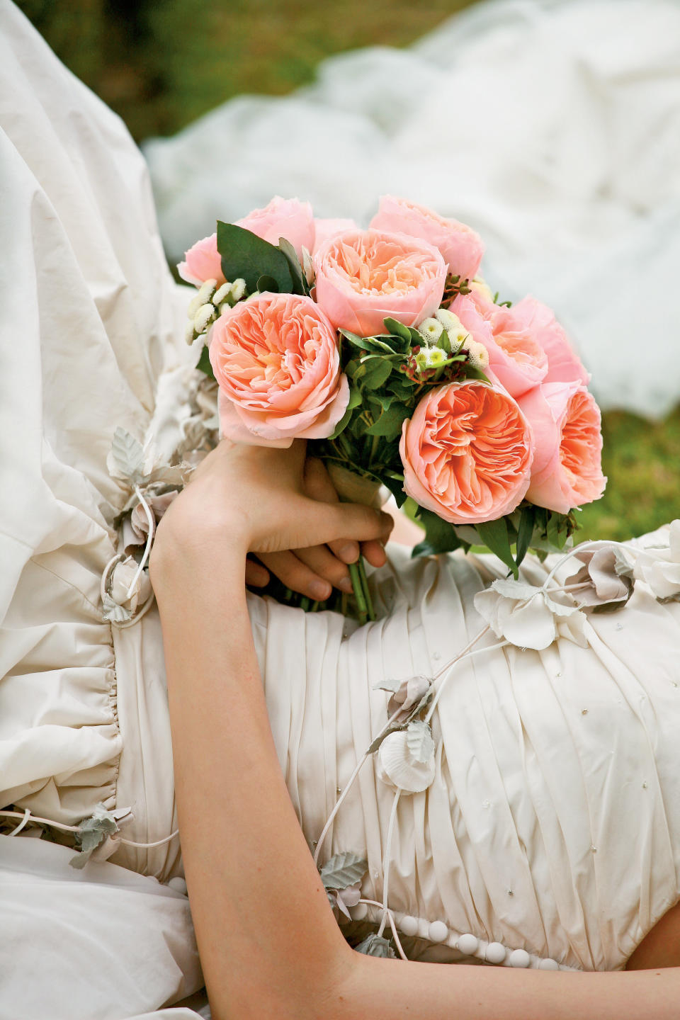 Juliet Garden Roses