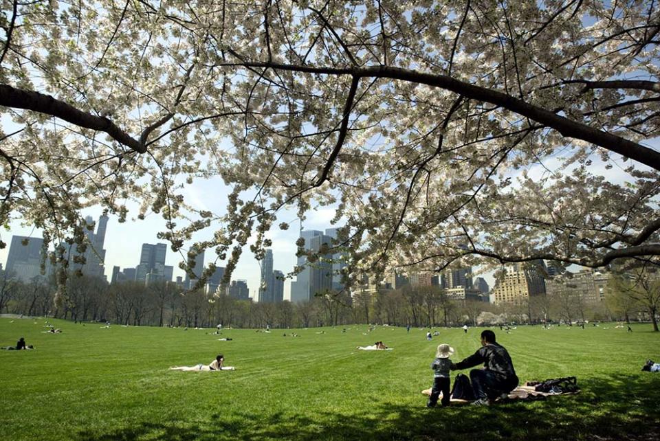 紐約中央公園（Image Source : REUTERS/Jeff Christensen JC/JDP）