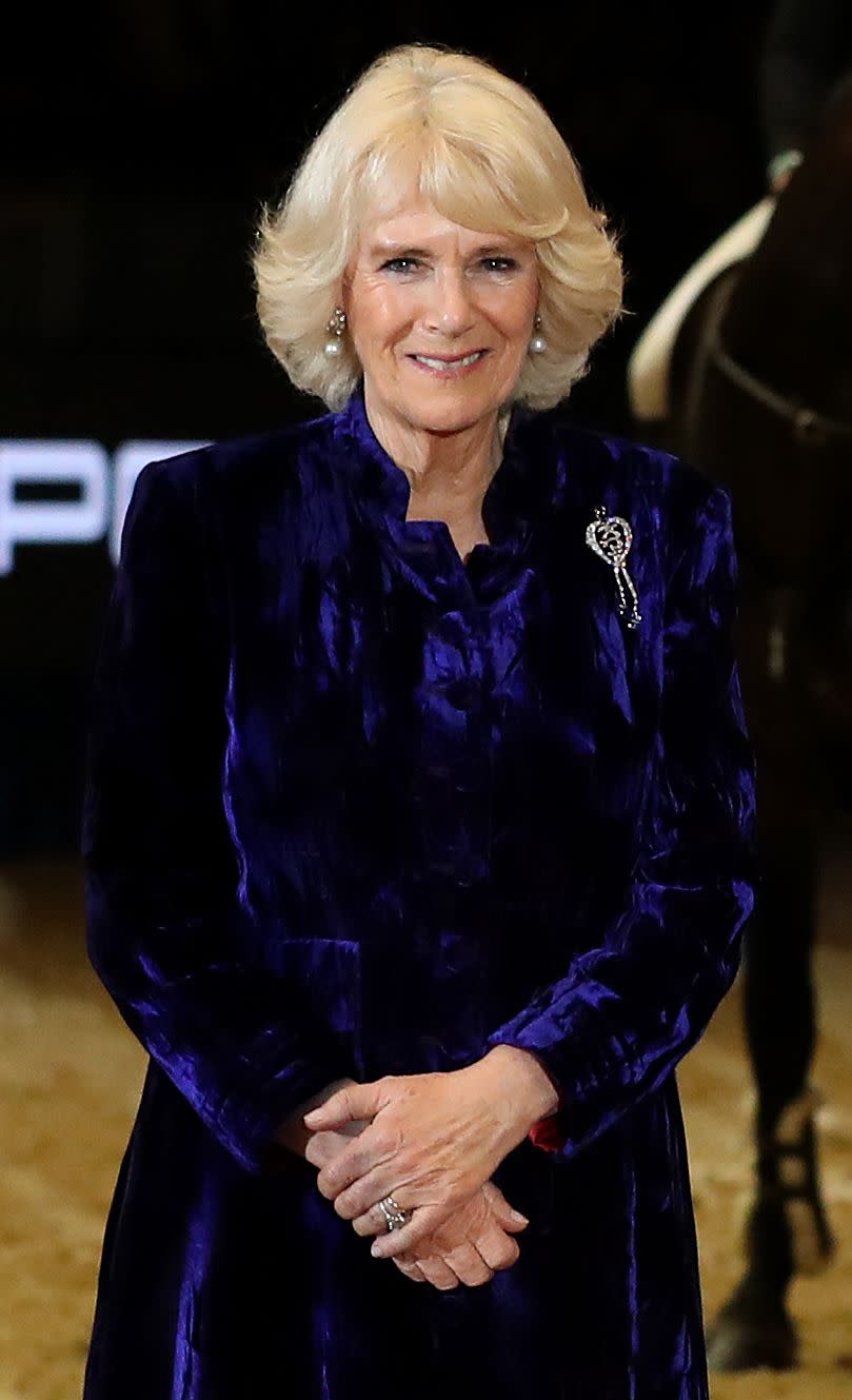 19 Photos of Camilla, Duchess of Cornwall, Sparkling in Diamonds