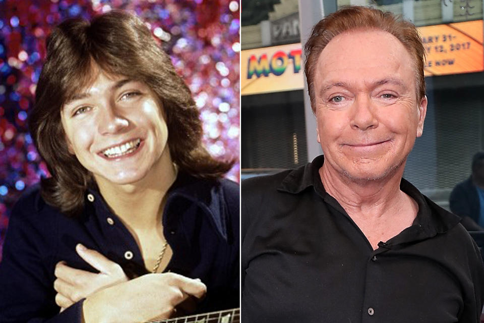 David Cassidy Has Been Hospitalized with Organ Failure and Is in Need of Liver Transplant