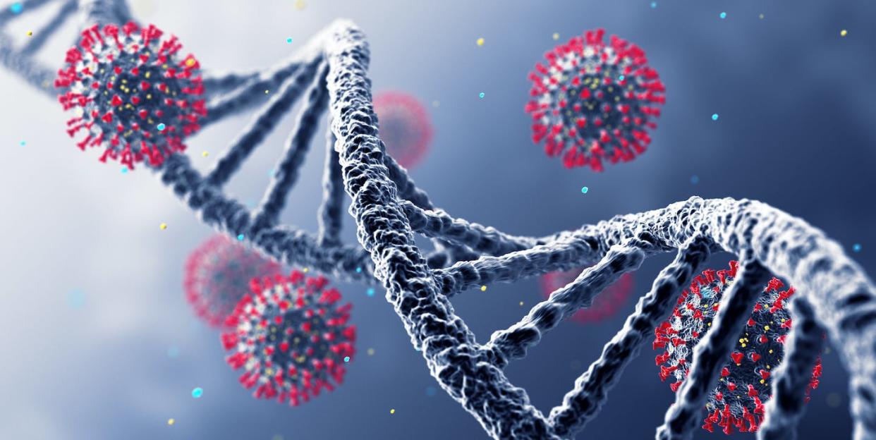 Genetics may play a role in COVID-19 disease severity. <a href="https://www.gettyimages.com/detail/photo/virus-wide-royalty-free-image/1312985523" rel="nofollow noopener" target="_blank" data-ylk="slk:BlackJack3D/E+ via Getty Images;elm:context_link;itc:0;sec:content-canvas" class="link ">BlackJack3D/E+ via Getty Images</a>