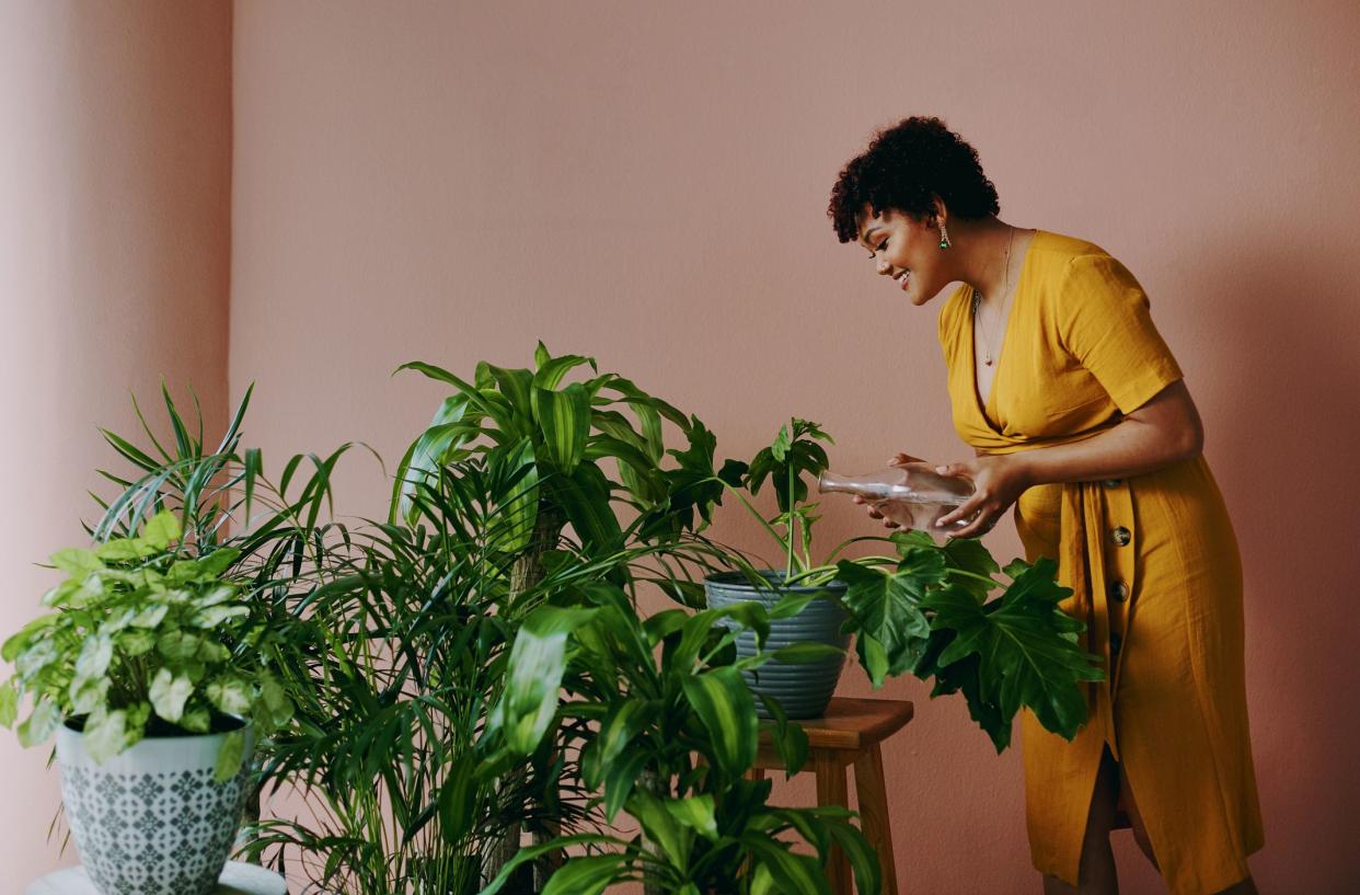 Shot of a young woman watering plants at home