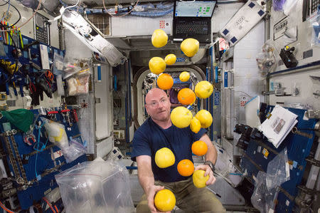 NASA astronaut Scott Kelly corrals the supply of fresh fruit that arrived on the Kounotori 5 H-II Transfer Vehicle (HTV-5), August 25, 2015. REUTERS/NASA/Handout