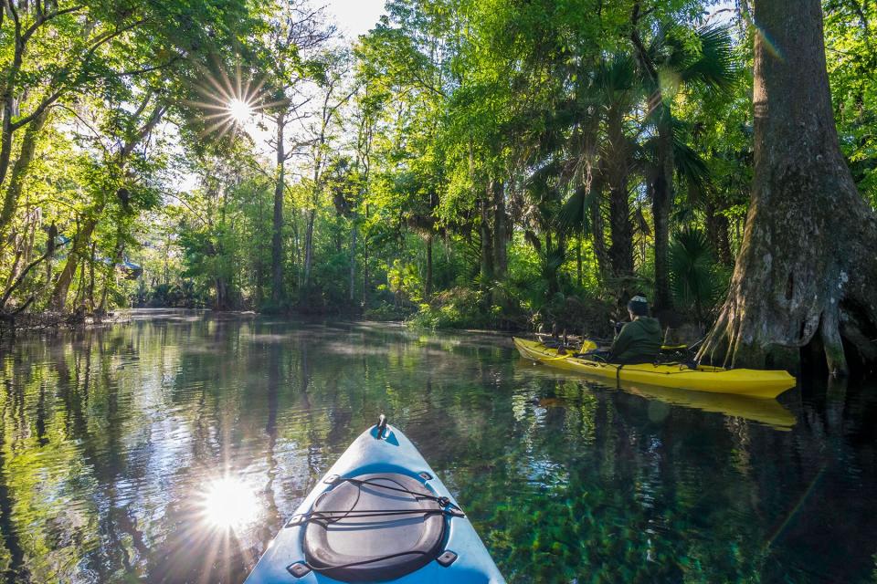 Kayaker Photographing at Dawn on the Silver River in Ocala National Forest