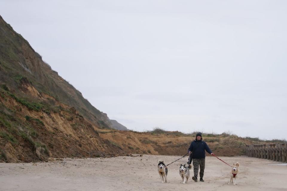 A man walks his dogs along a beach (Joe Giddens/PA) (PA Wire)