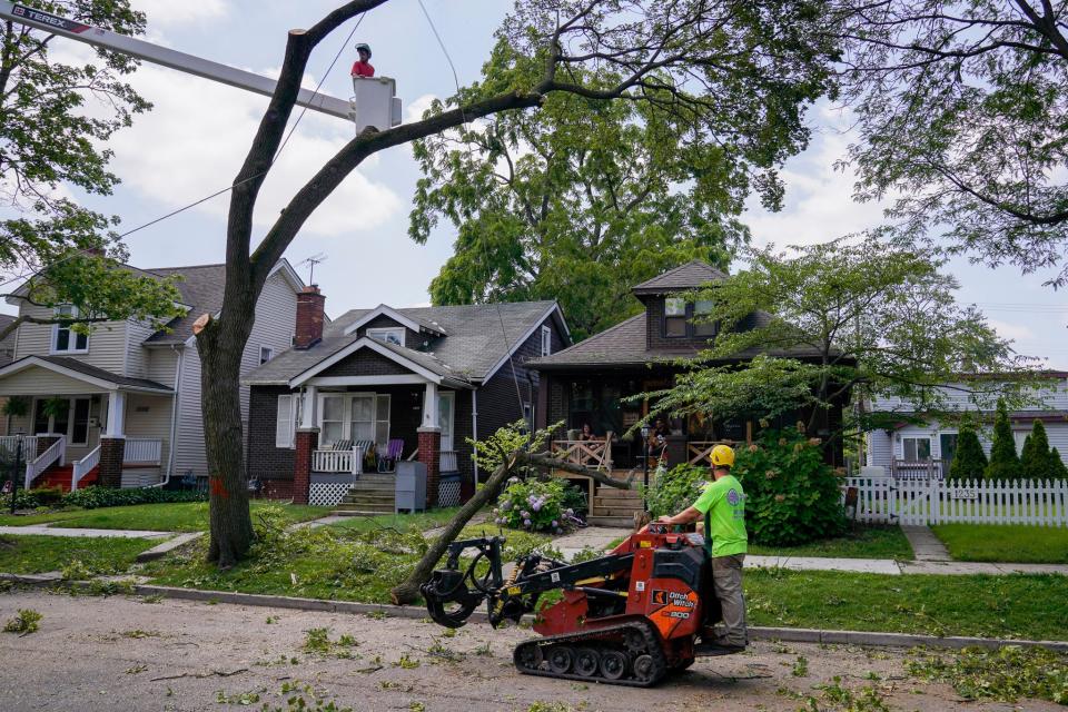 Homeowners watch as Troy Tree Service workers take down a tree that obstructed power lines along Maryland Street in Grosse Pointe Park on Thursday, July 27, 2023. Many residents were affected by the intense storms that rolled through the area on Wednesday.