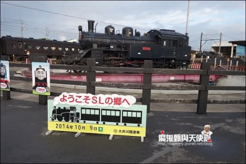 《日本靜岡縣鐵道旅遊》大井川鐵道SL蒸氣列車初體驗 日本第一輛湯瑪士蒸氣小火車