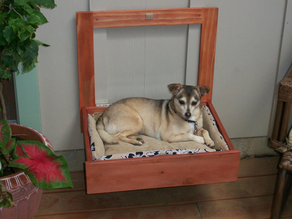 Kohala Creations says this Murphy bed can be mounted on a wall at any height for animals under 20 pounds, but should be on the floor for heavier pets. <a href="http://etsy.me/WxB0A3" rel="nofollow noopener" target="_blank" data-ylk="slk:It's $189 on Etsy.;elm:context_link;itc:0;sec:content-canvas" class="link ">It's $189 on Etsy.</a>
