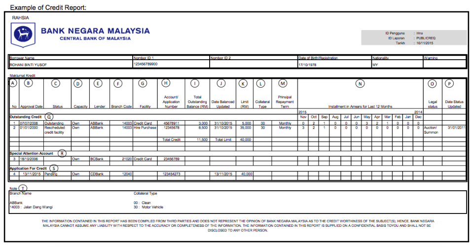 sample-ccris-report