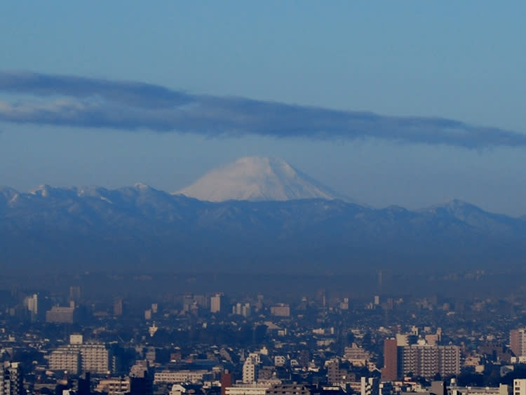 原本就已經夠繁忙的成田機場變得更加繁忙，而一開始以日本國內線為主、座落於日中心的羽田機場也大幅增加國際線航班