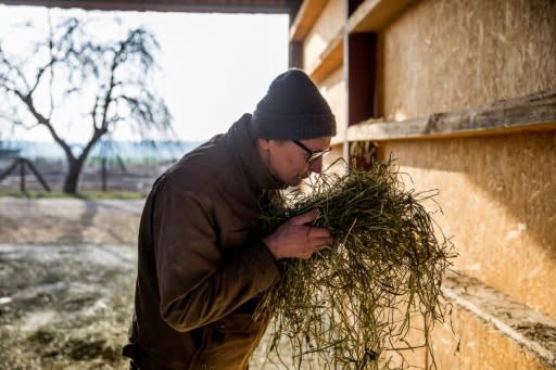 Farmer Heiner Luetke Schwienhorst says the changing climate has already hit his crop production