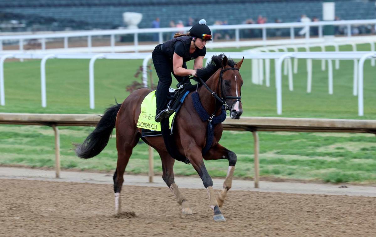 Dornoch Wins the 2024 Belmont Stakes as Horse Race Is Held in Saratoga