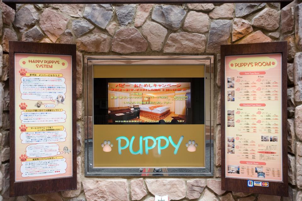 Love hotel 'Puppy' - Credit: This content is subject to copyright./Brent Winebrenner