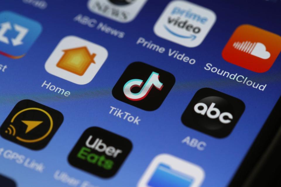 The request was met with resistance from TikTok employees (Getty Images)