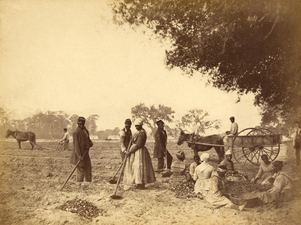 Enslaved people work on a plantation in South Carolina in 1862. (Photo by adoc-photos/Corbis via Getty Images)