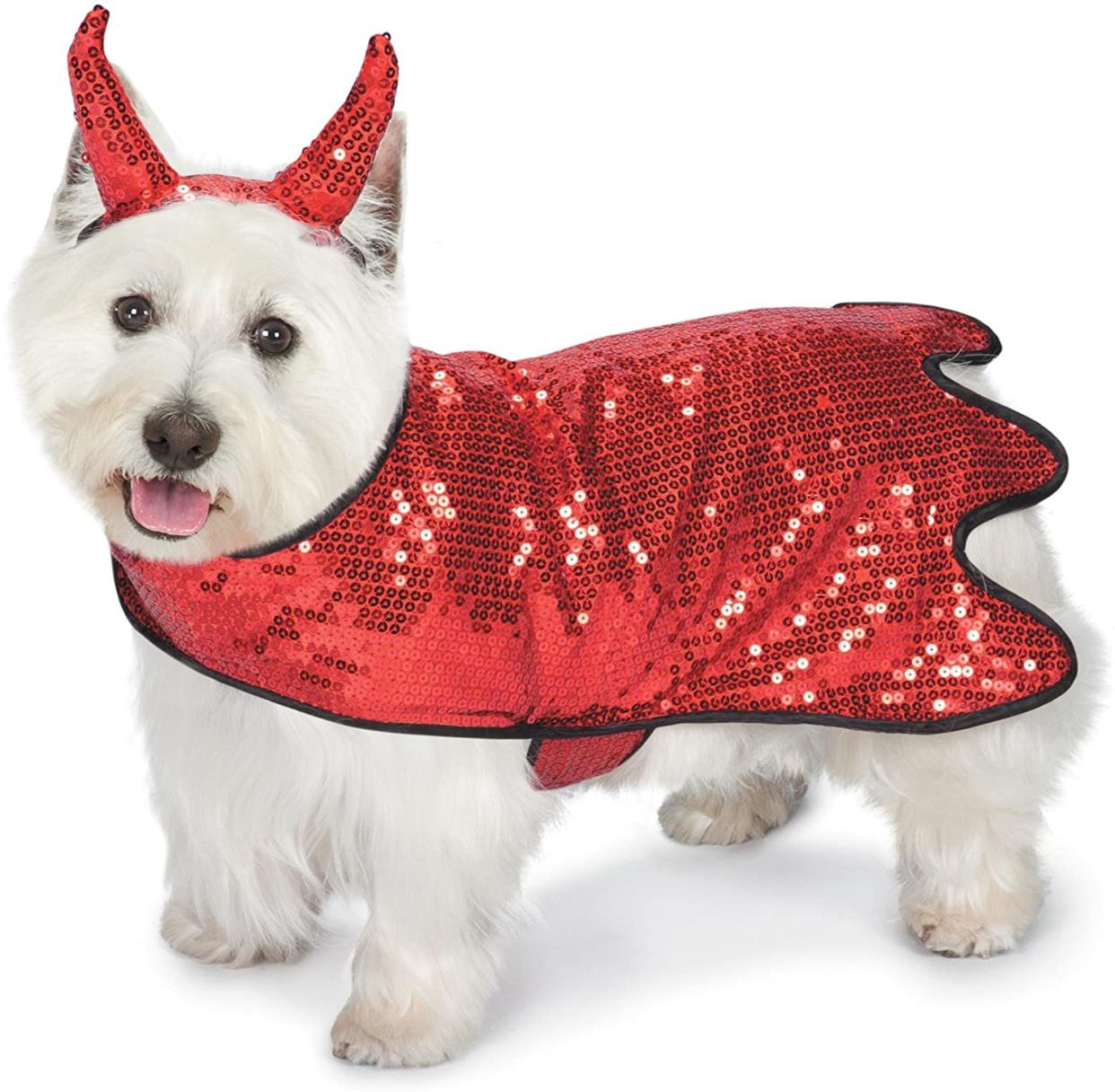 zack zoey sequin devil dog costume