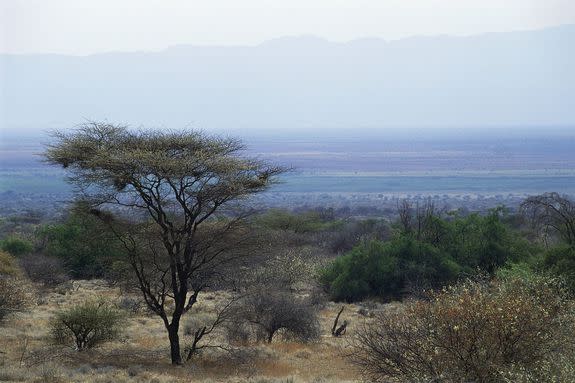 Landscape near Lake Chew Bahir, Rift Valley, Ethiopia.