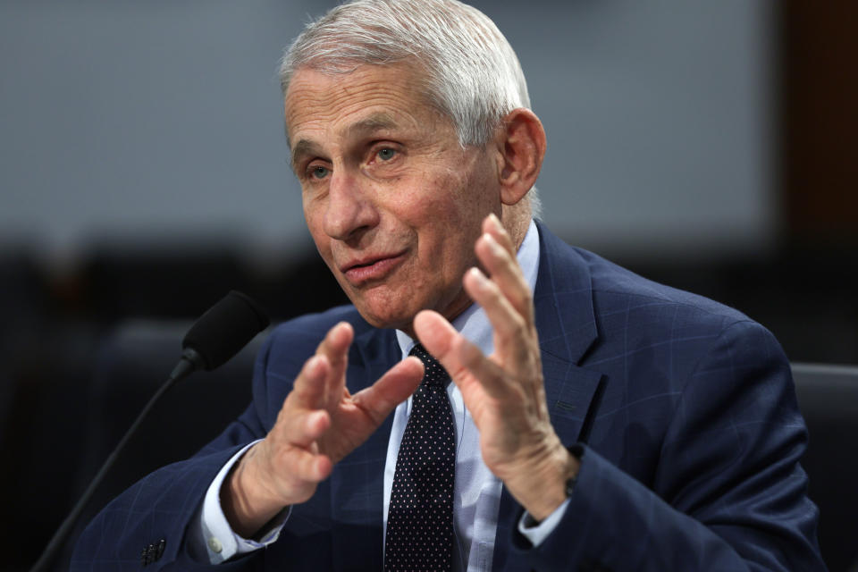 dr anthony fauci