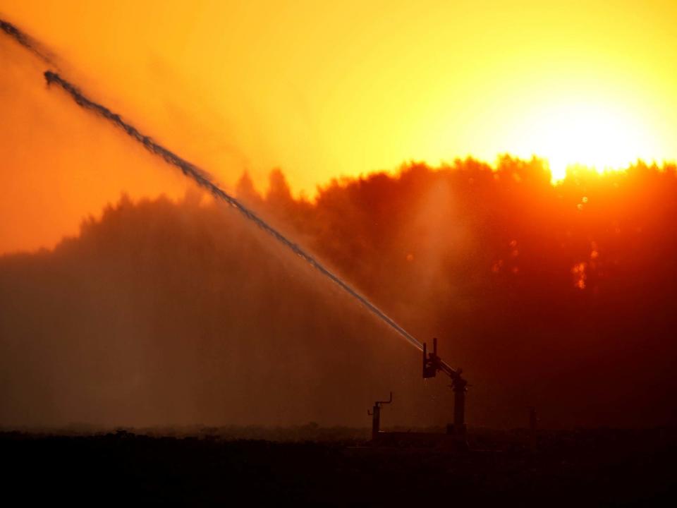 A field is irrigated during a heatwave in France last month. Heatwaves are lasting longer and happening more frequently around the world: REUTERS/Pascal Rossignol