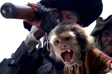 Vomit… PETA has slammed Pirates of the Caribbean producers over puking capuchin – Credit: Disney