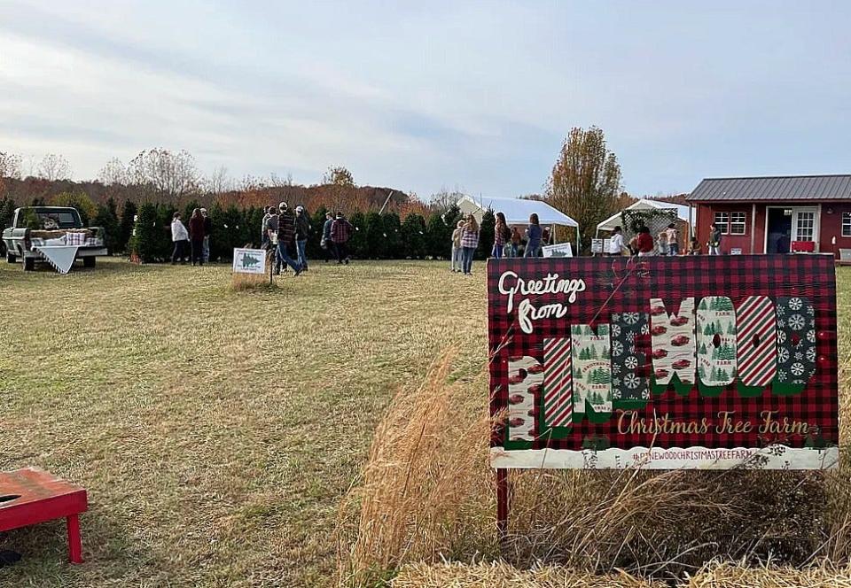 The Pinewood Christmas Tree Farm in Williamson County.