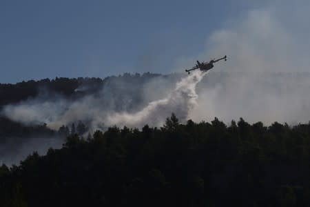 A firefighting plane makes a water drop as a wildfire burns near the village of Stavros on the island of Evia