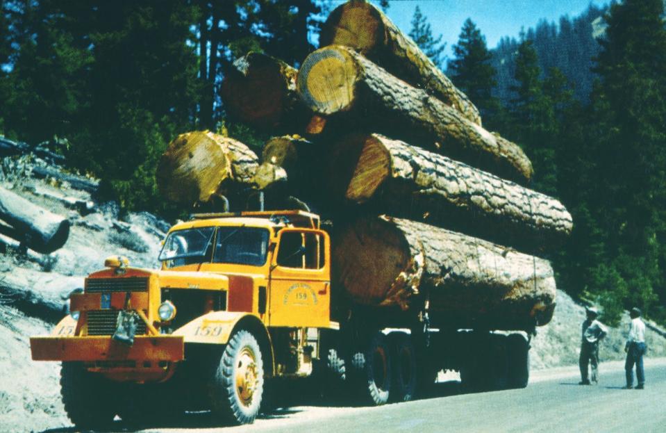 A logging truck in the Pacific Northwest in 1954. Since 1600, 90% of the original forests in what is now the U.S. have been logged. <a href="https://www.gettyimages.com/detail/news-photo/lumber-truck-pacific-northwest-usa-1950-news-photo/629442731" rel="nofollow noopener" target="_blank" data-ylk="slk:Universal History Archive via Getty Images;elm:context_link;itc:0;sec:content-canvas" class="link ">Universal History Archive via Getty Images</a>