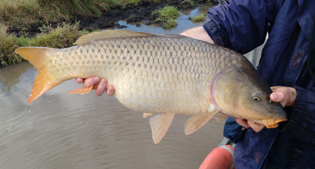 Invasive threat choking Australia's rivers: 'Worst I've seen