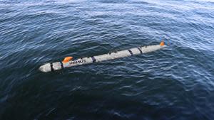 HII Mission Technologies division was awarded a contract to build nine small unmanned undersea vehicles (SUUV) for the U.S. Navy’s Lionfish System program. The Lionfish System is based on HII's REMUS 300 UUV.