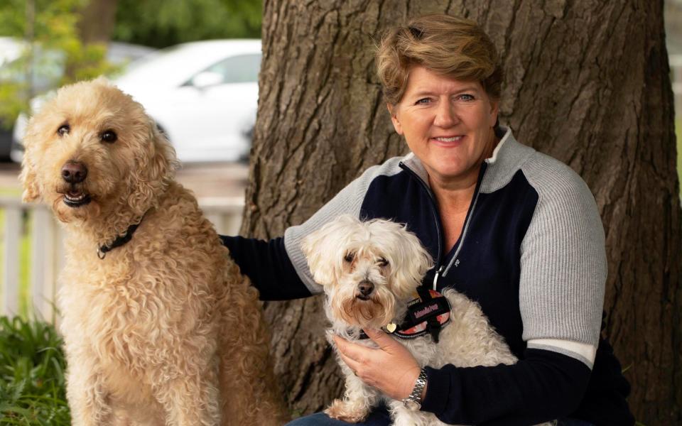 Clare Balding reunites lost dogs with their owners